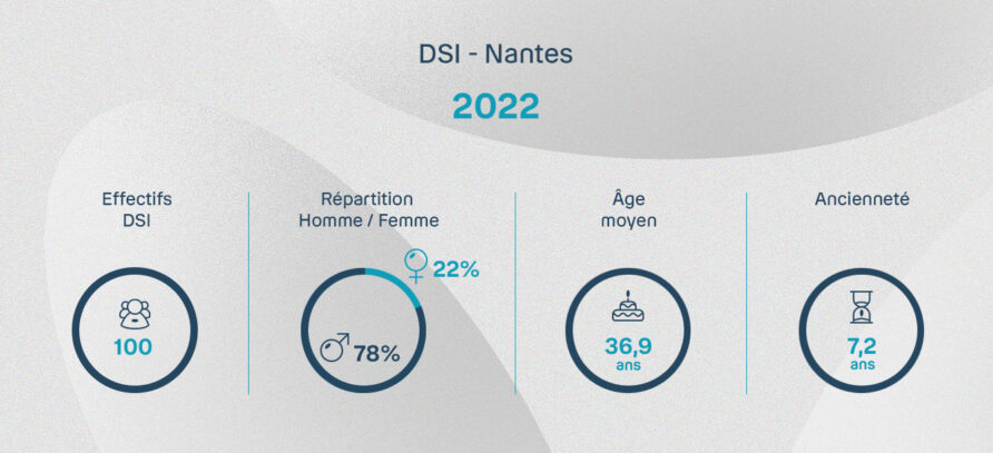 Visuel indiquant les statistiques de la DSI à Nantes en 2022